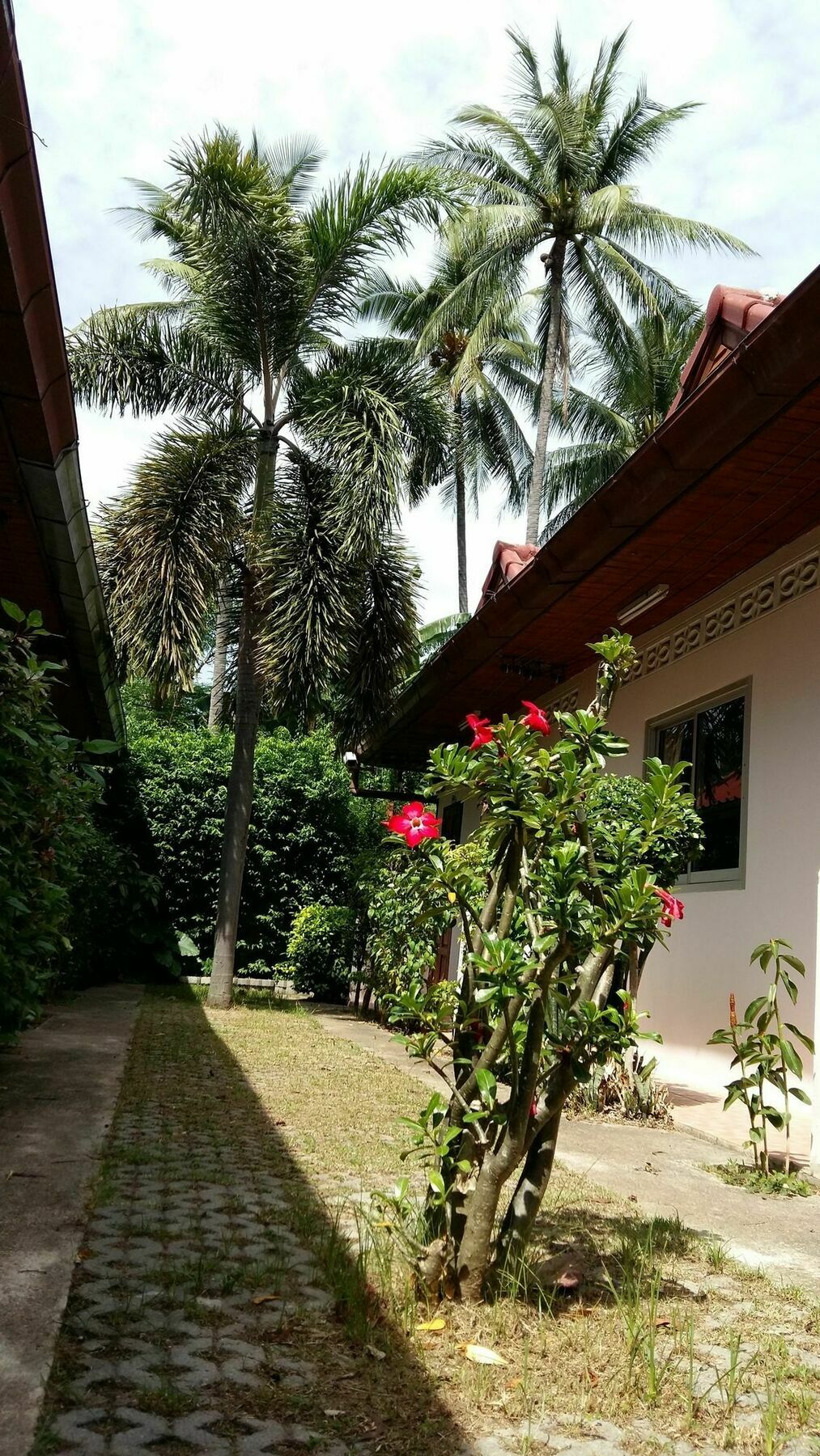 Saver Guesthouse Chaweng  Esterno foto