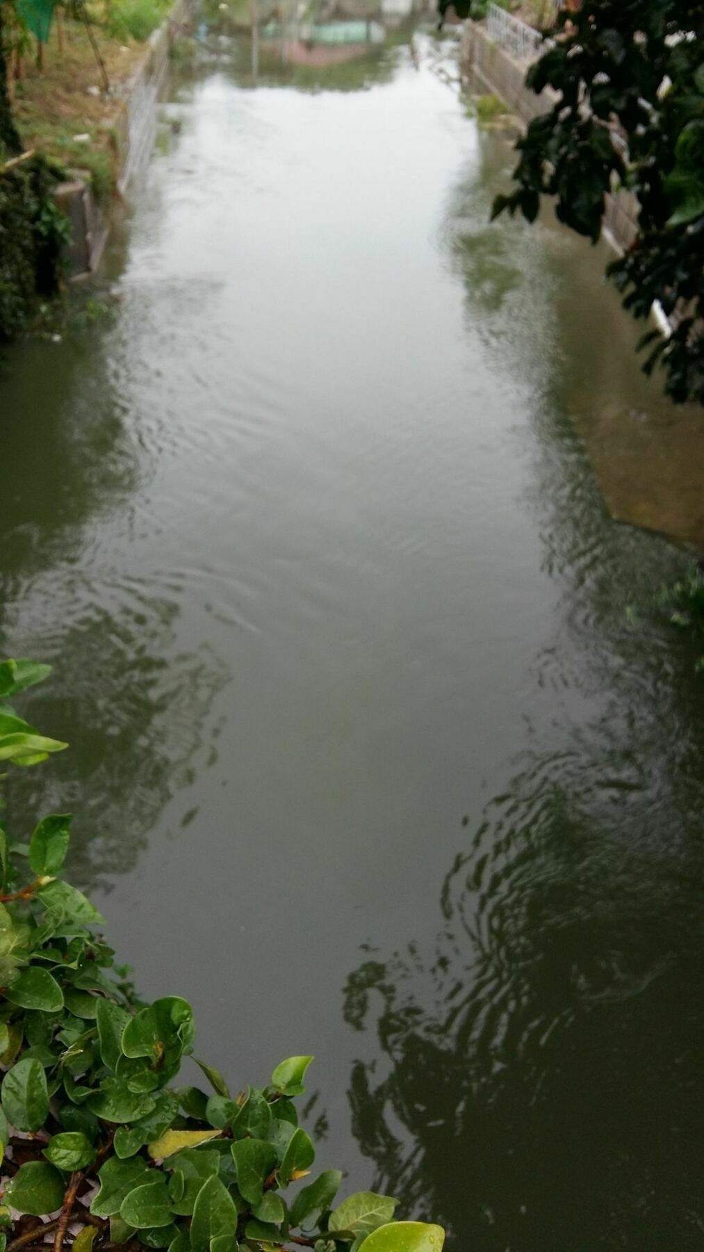 Saver Guesthouse Chaweng  Esterno foto