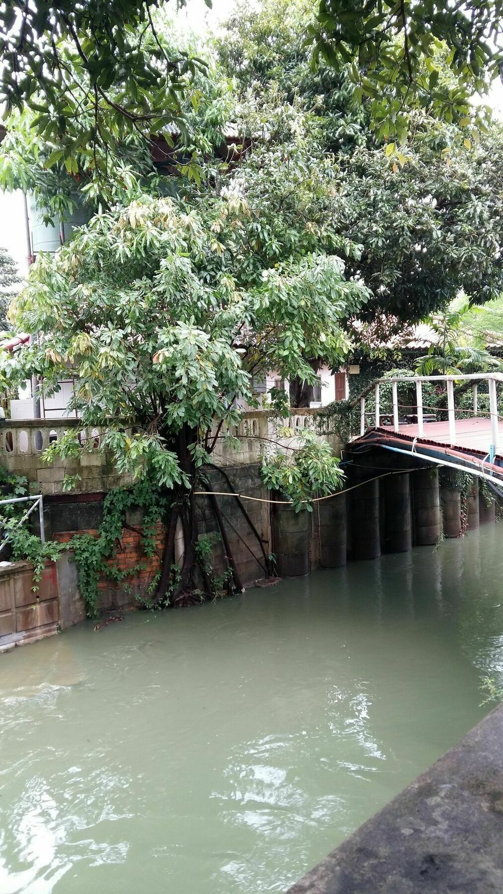 Saver Guesthouse Chaweng  Esterno foto